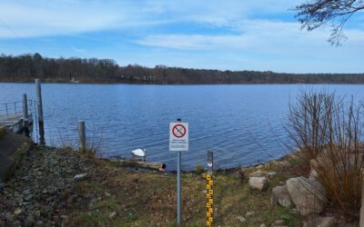 Machbarkeitsstudie zur Stützung des Wasserdargebots des Straussees – Phase 2 beendet