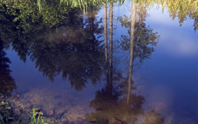 Grundwassermodelle Bayern