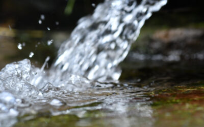 Grundwassermodelle Brandenburg