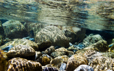 Grundwassermodelle Hessen