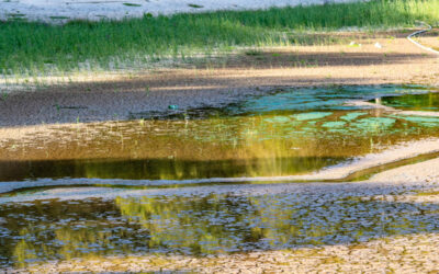 Grundwassermodelle Schleswig Holstein